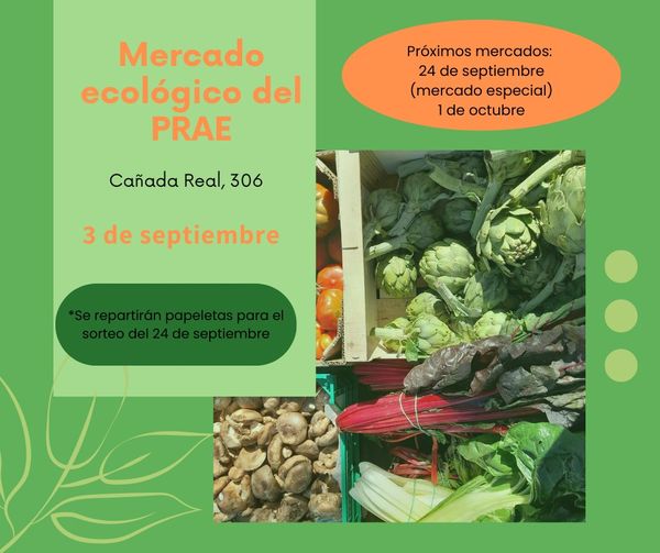 Mercado ecológico 27 de Agosto